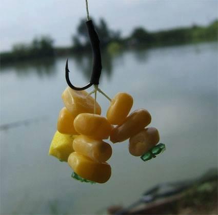 treburi - capcana.jpg